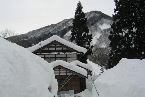 積雪屋根