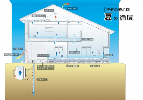 夏の体感会