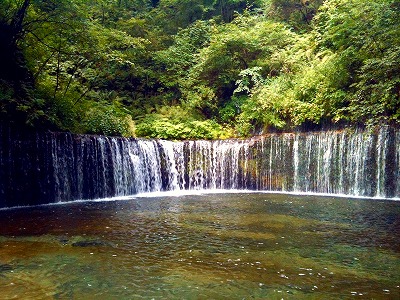 夏期休業のお知らせ